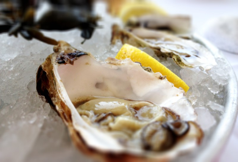 Heerlijke oesters